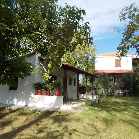 Villa Mina Potistika Zewnętrze zdjęcie